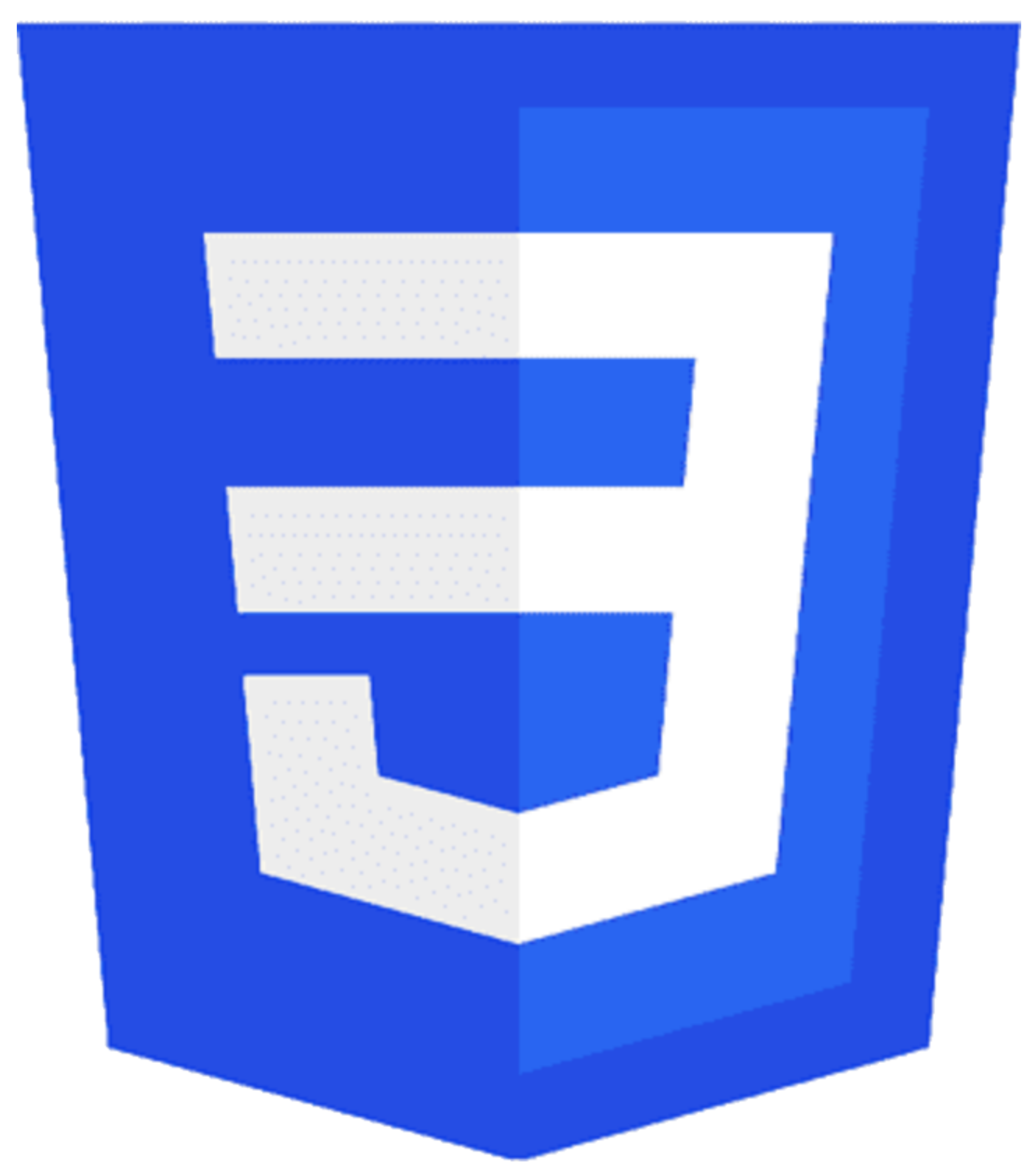cssicon